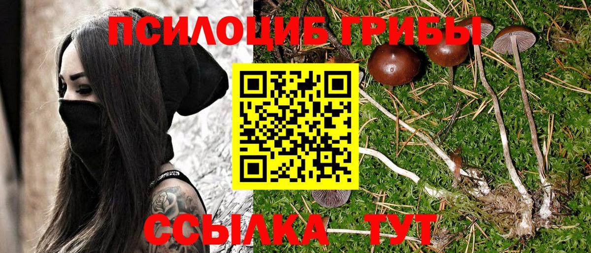 Галлюциногенные грибы Magic Shrooms  Галлюциногенные грибы Magic Shrooms  Вход с VPN  Каменск-Шахтинский 